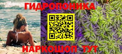 стаф Бузулук
